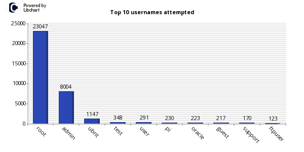 Top usernames observed in the Kippo study